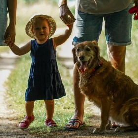 a family walking with a dog