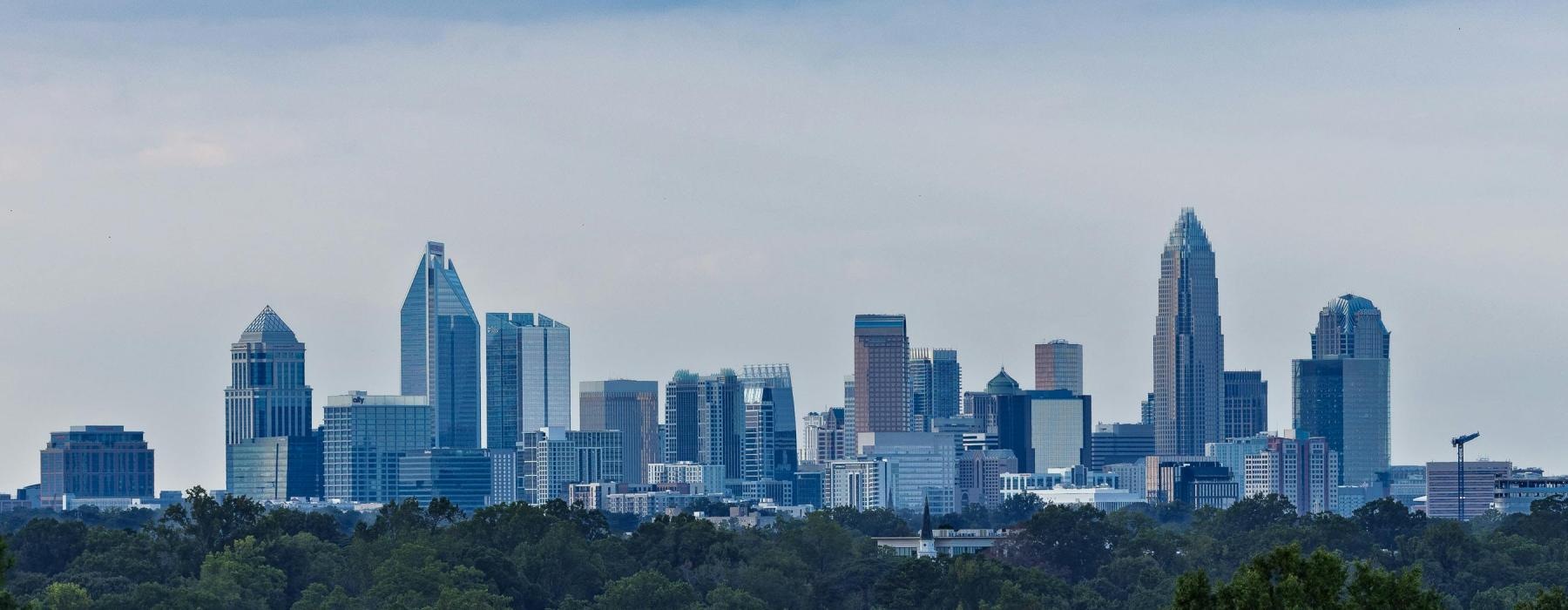 a city skyline with trees